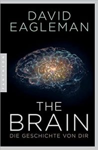 Brain
